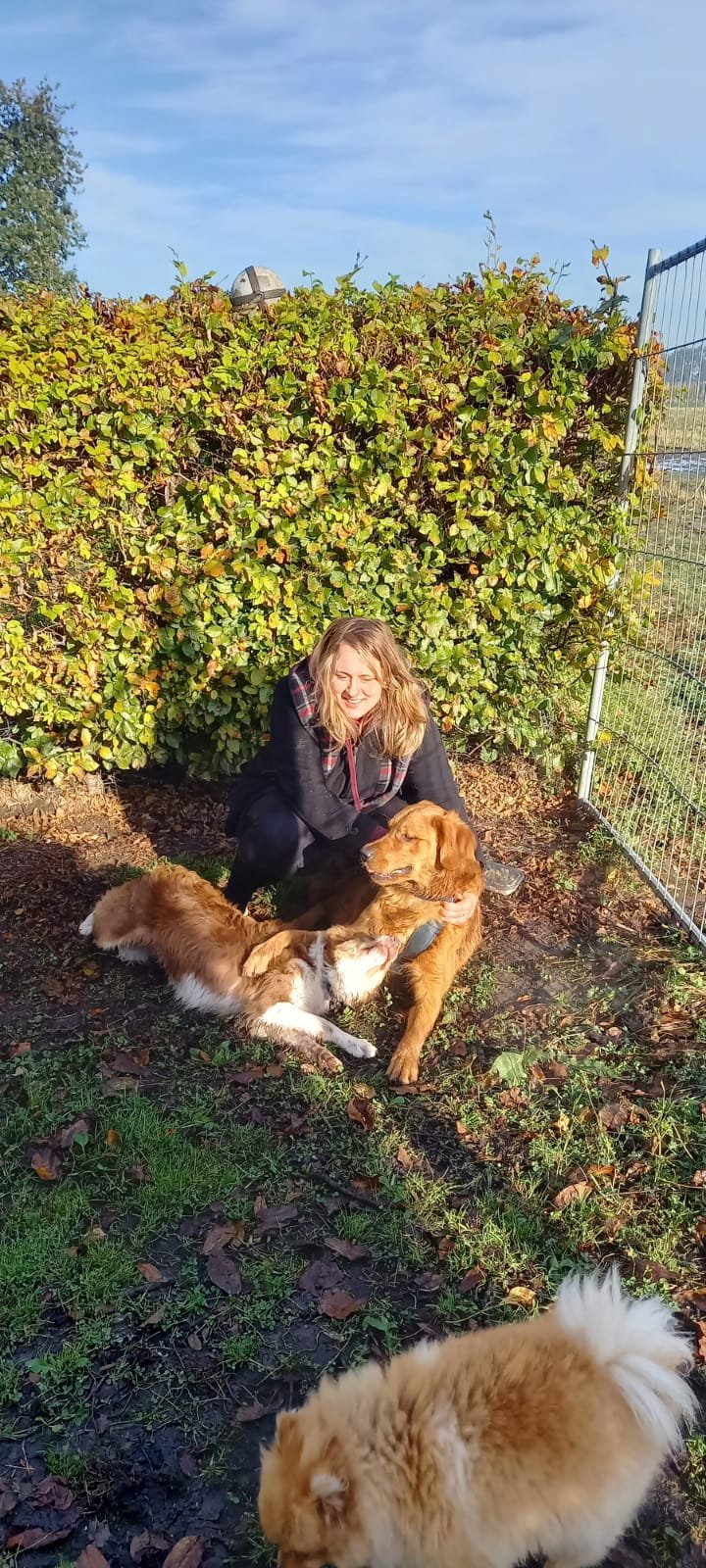 Samantha, pet sitter in Oudenbosch, photo 4