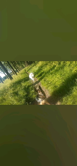 Daniella, pet sitter in Purmerend, photo 5