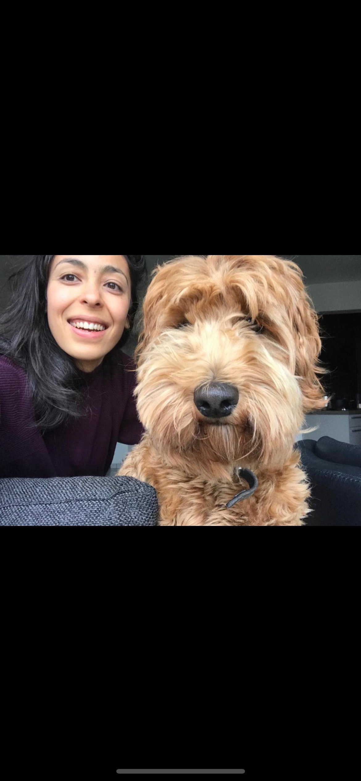 Shucria, pet sitter in Amsterdam, photo 1