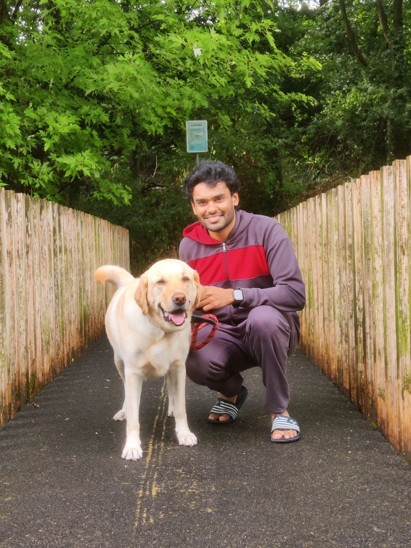 G, pet sitter in Hoogvliet Rotterdam, photo 1