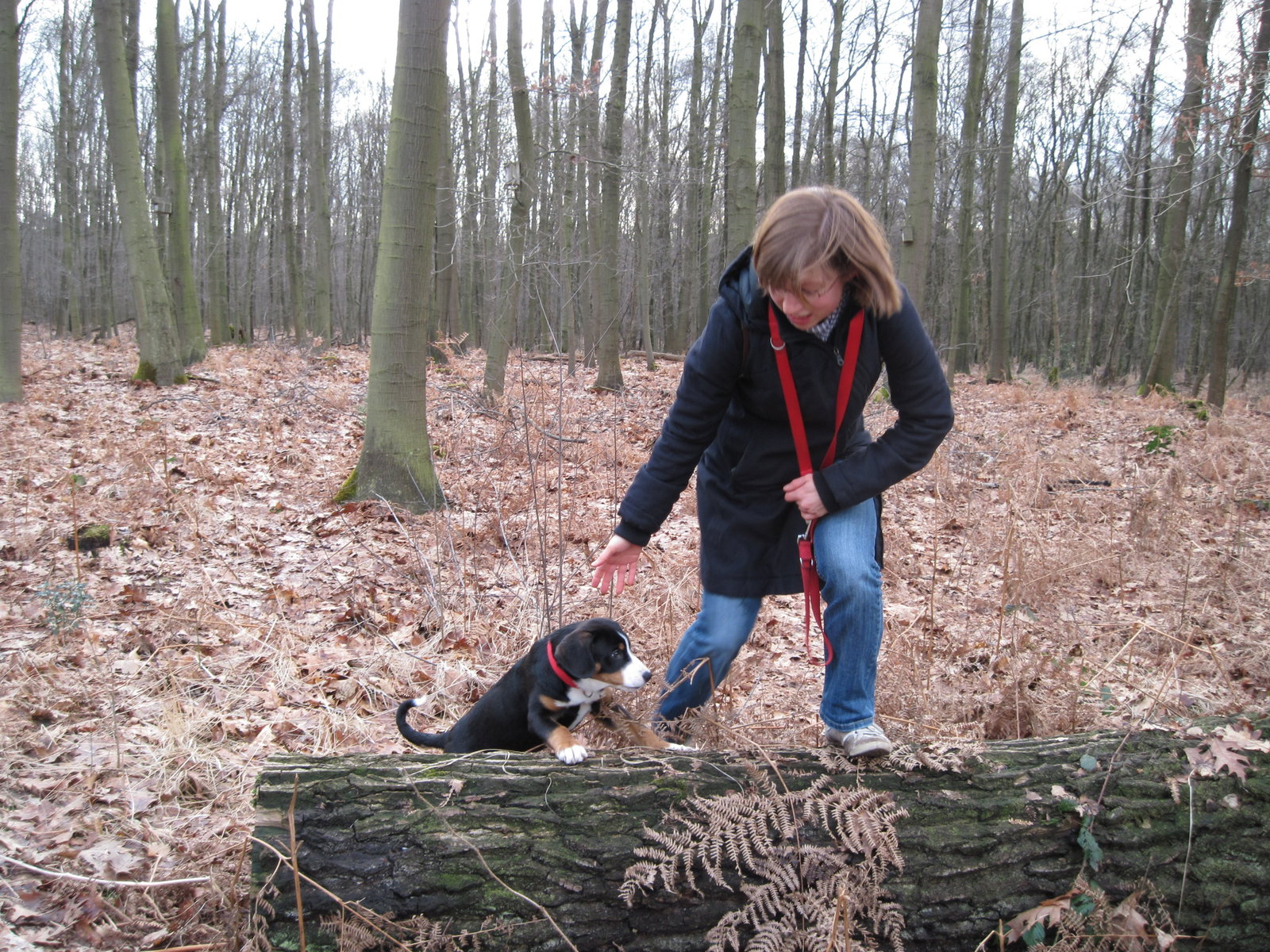 Anja und Achmad, Tiersitter in Bremen, Foto 2