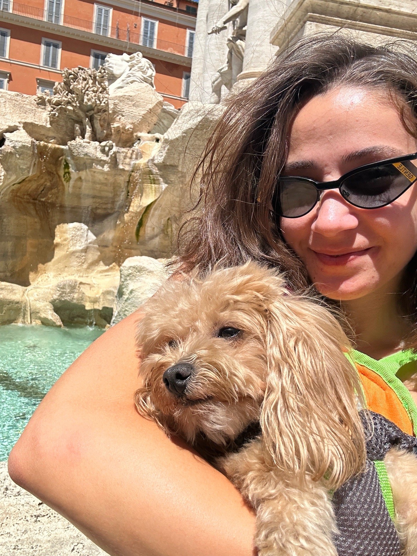 Tuana, pet sitter in Maastricht, photo 5