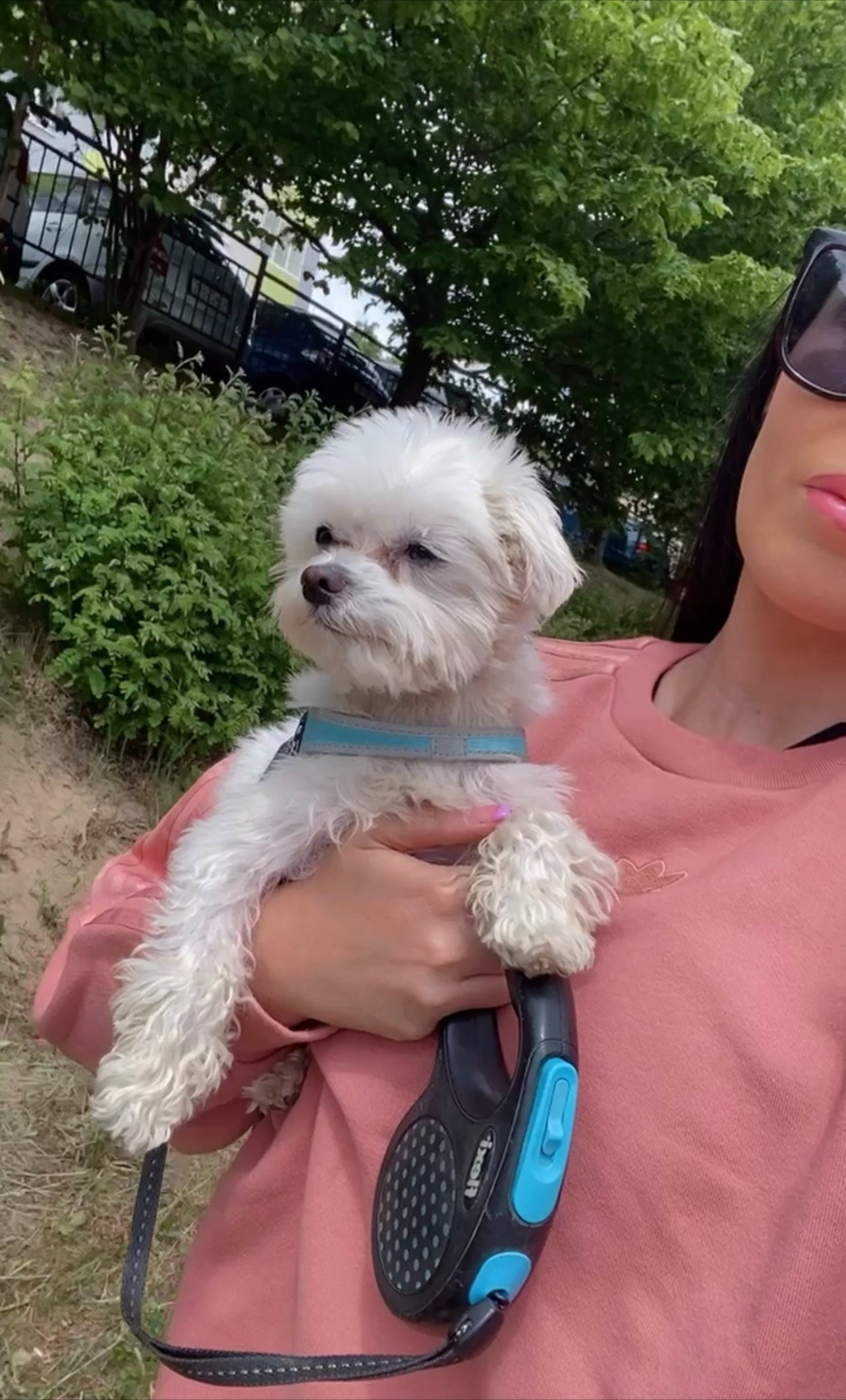 Patricia, pet sitter in Amsterdam, photo 3