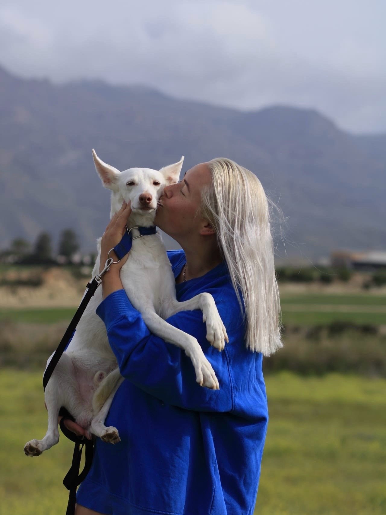 Shannon, pet sitter in Dronten, photo 1