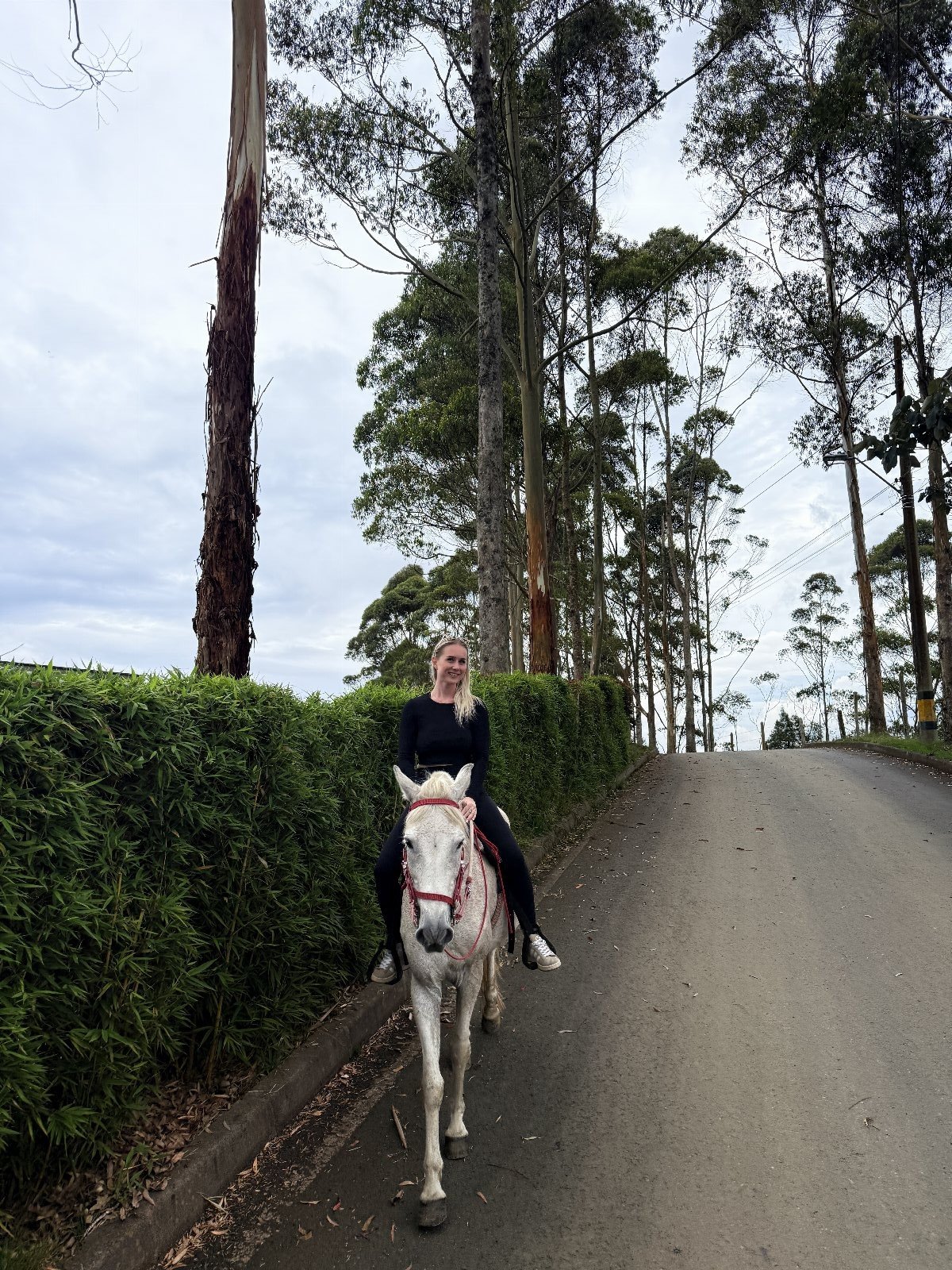 Britt, pet sitter in Heemstede, photo 3