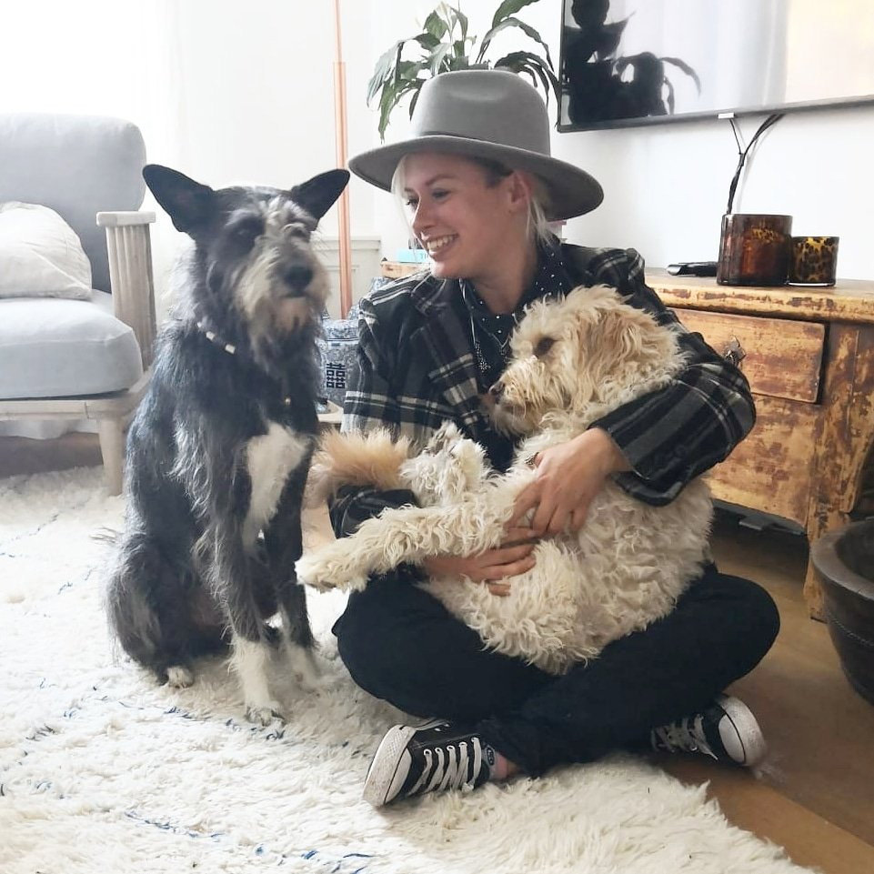 Dine, pet sitter in IJmuiden, photo 1