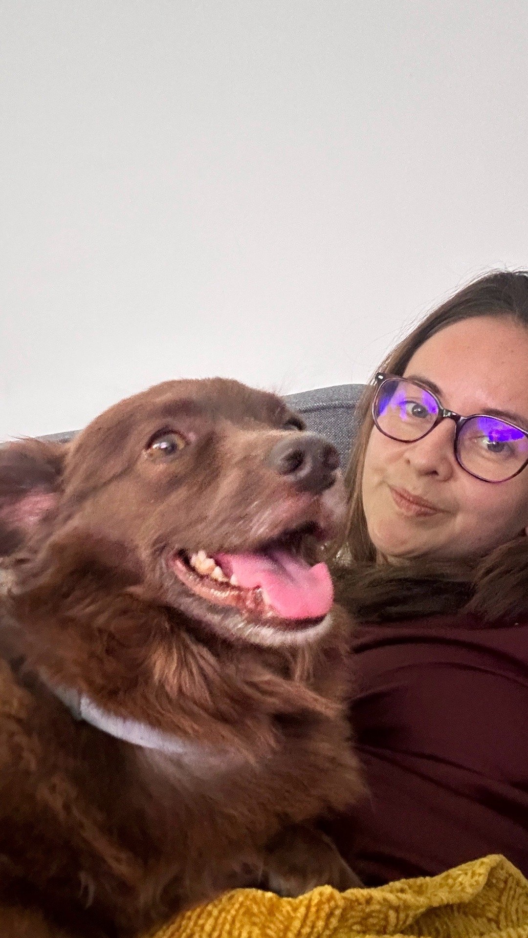 Diana, pet sitter in Utrecht, photo 1