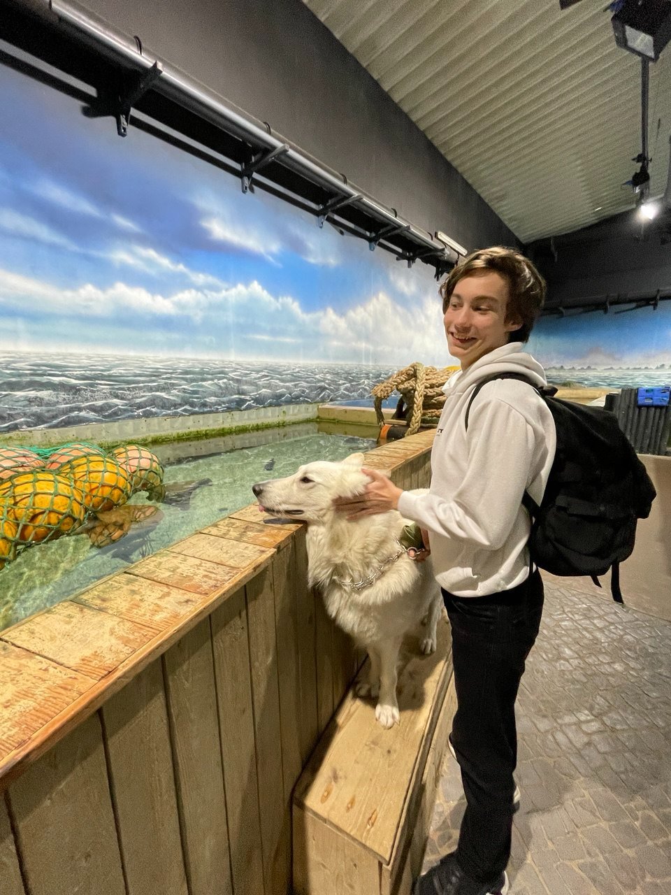 Andrii, Tiersitter in Hamburg, Foto 3
