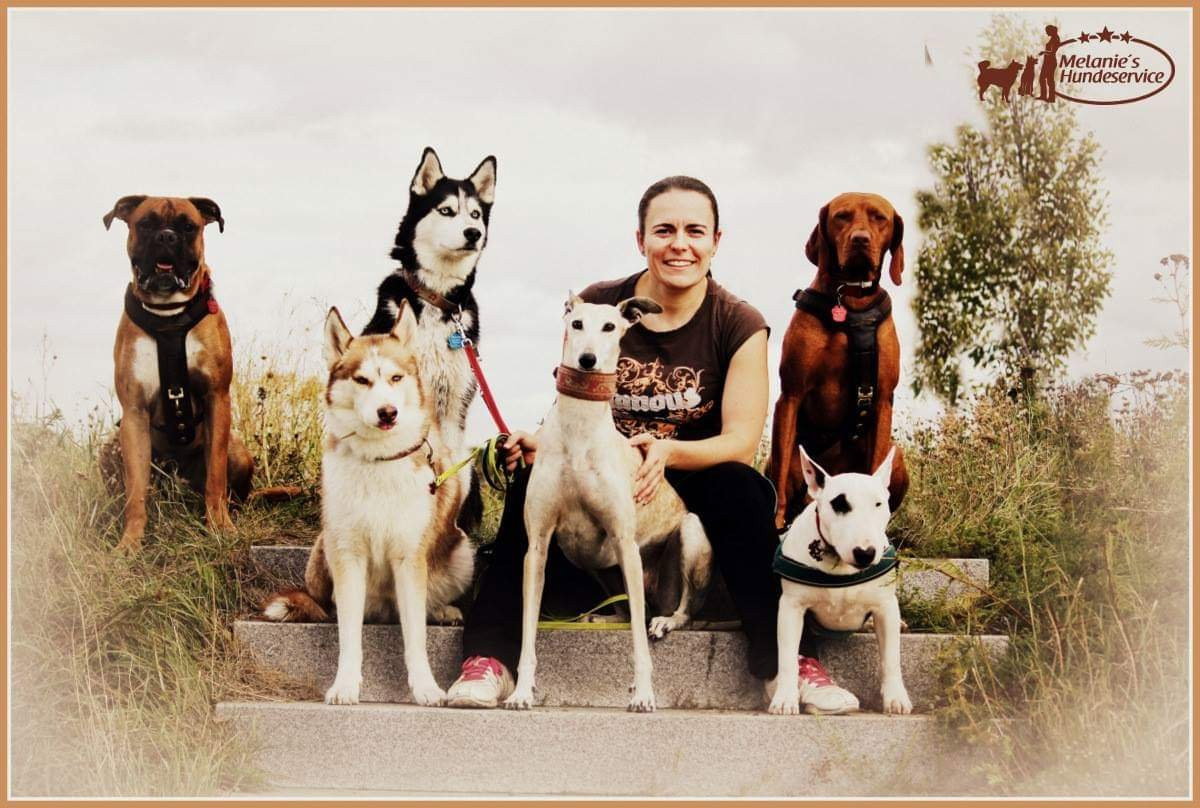 Melanie, Tiersitter in Berlin, Foto 4