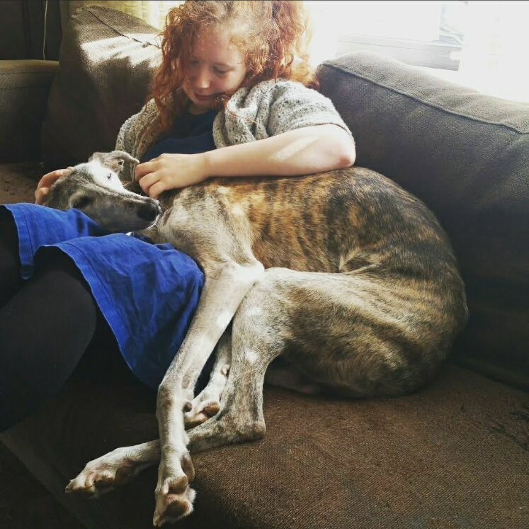 Rebekka, pet sitter in Enschede, photo 3