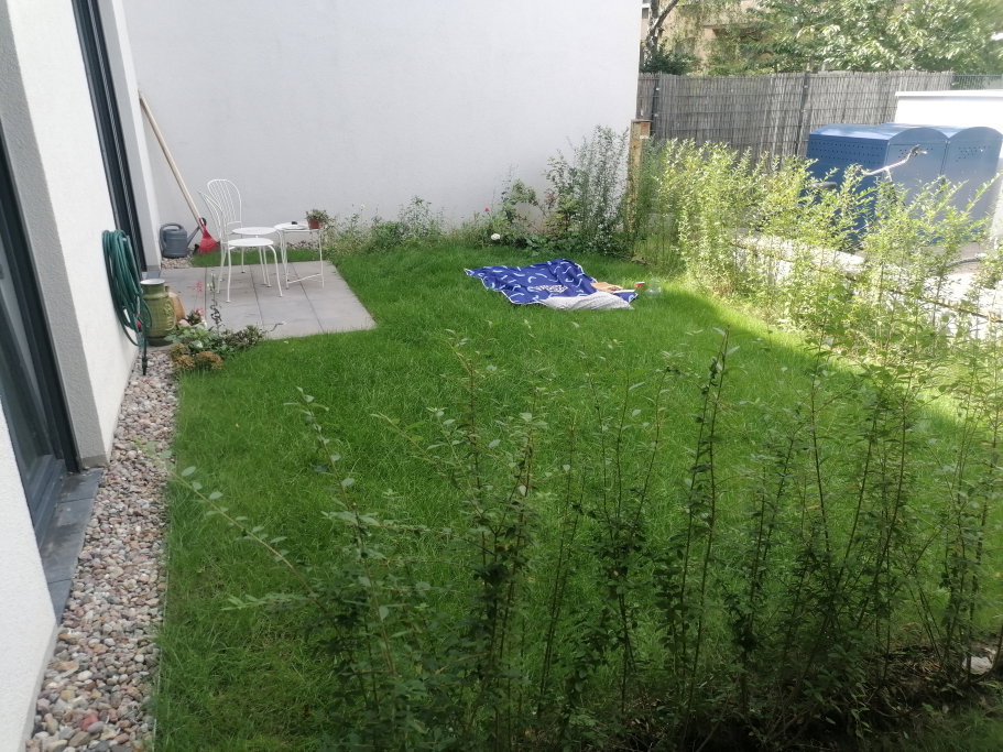 Floris, Tiersitter in Berlin, Foto 4