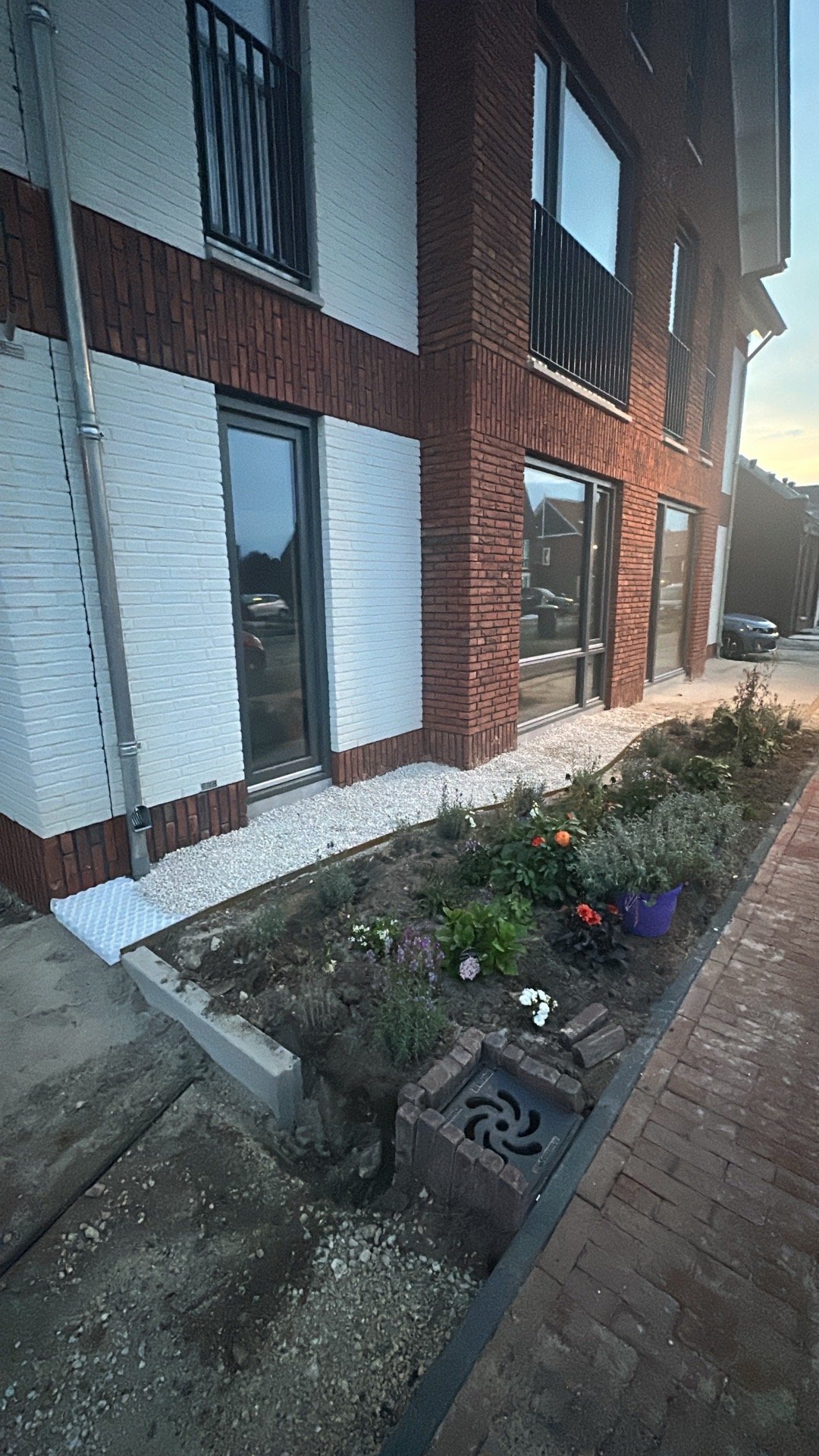 Kim, dierenoppas in Wijchen, foto 3