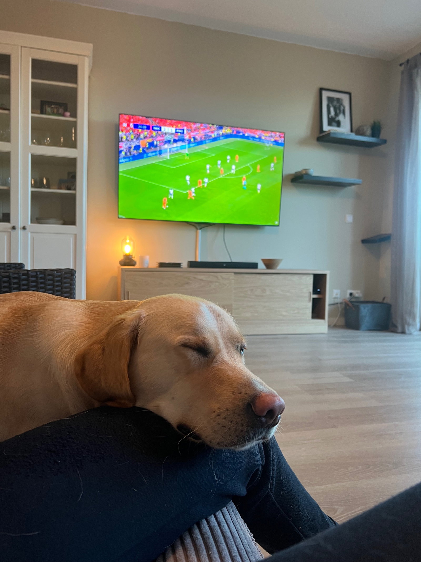 Ashley en Braden, pet sitter in Amsterdam, photo 3