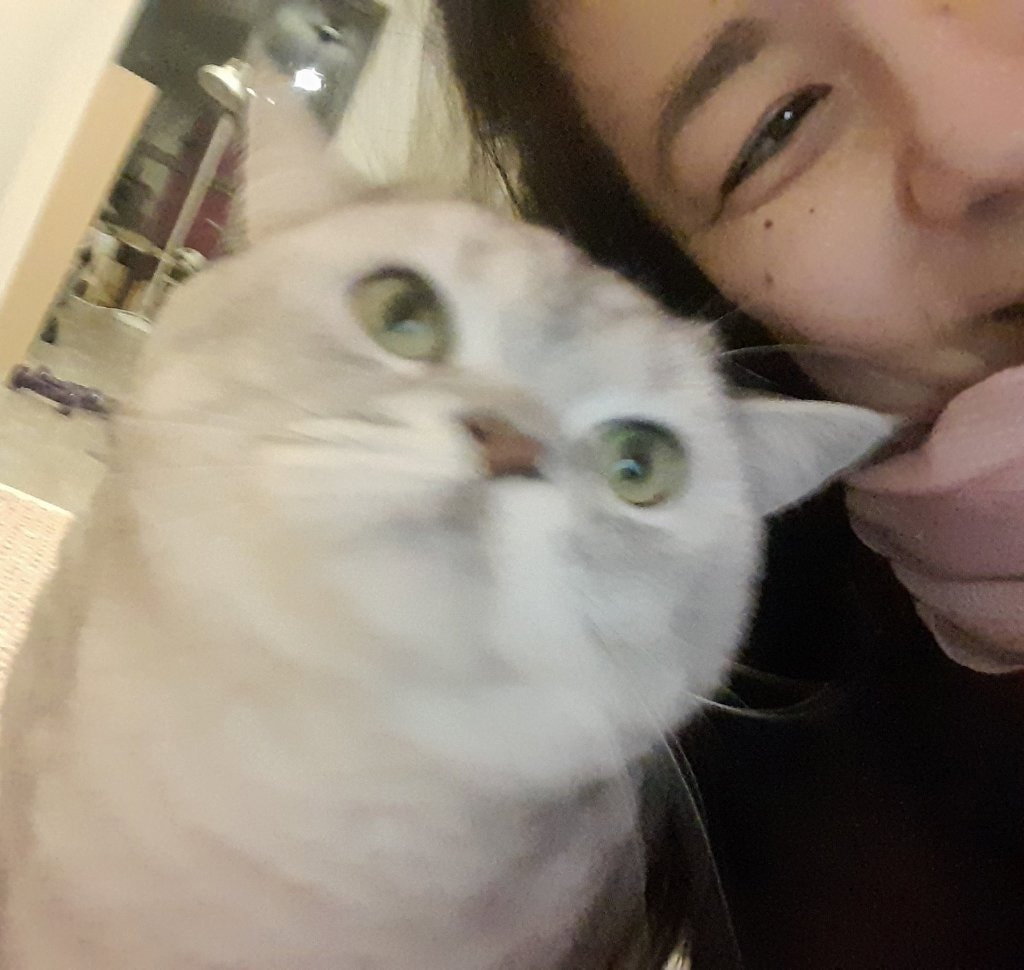 Mariposa, pet sitter in Amsterdam, photo 3