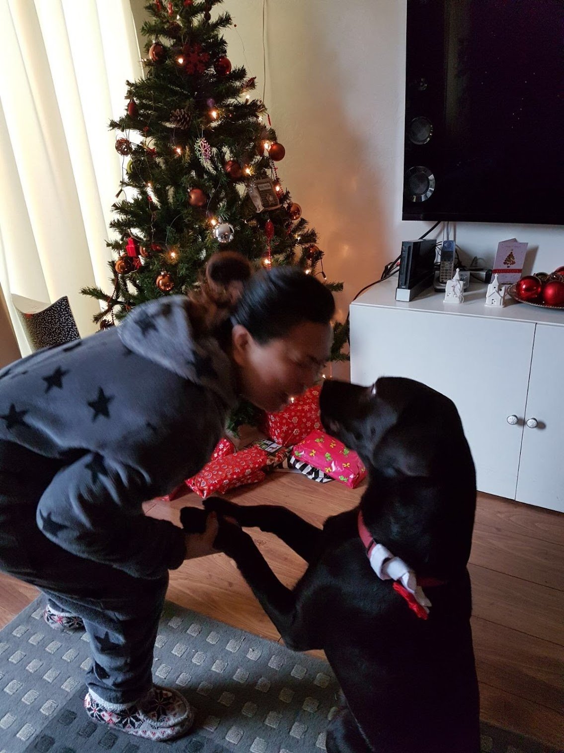Lena, pet sitter in Utrecht, photo 2