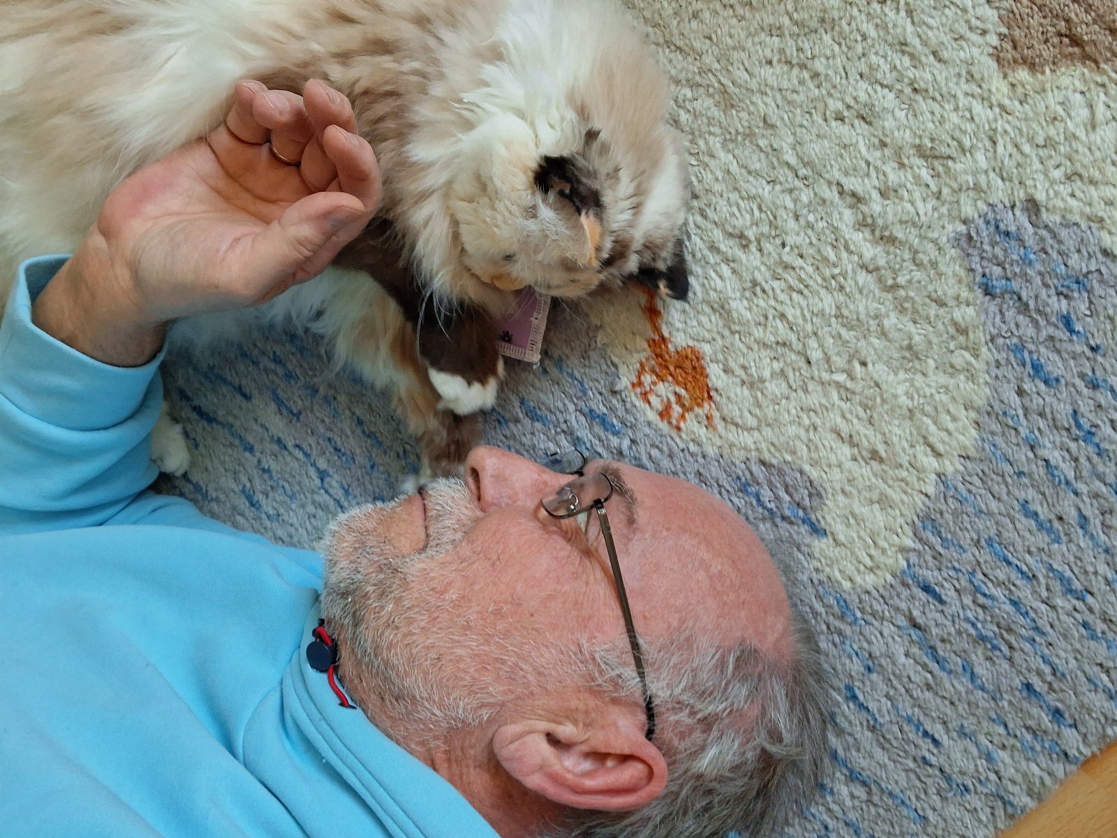 Olaf, Tiersitter in Berlin, Foto 4