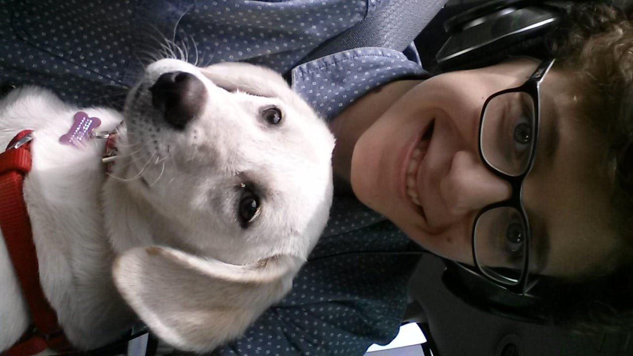 Francesco, pet sitter in München, photo 3