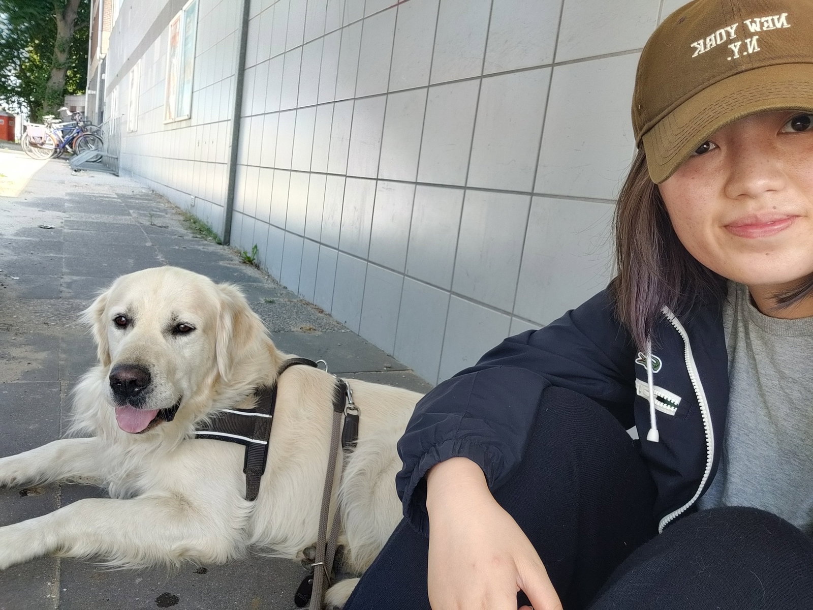 Han, pet sitter in Lelystad, photo 1