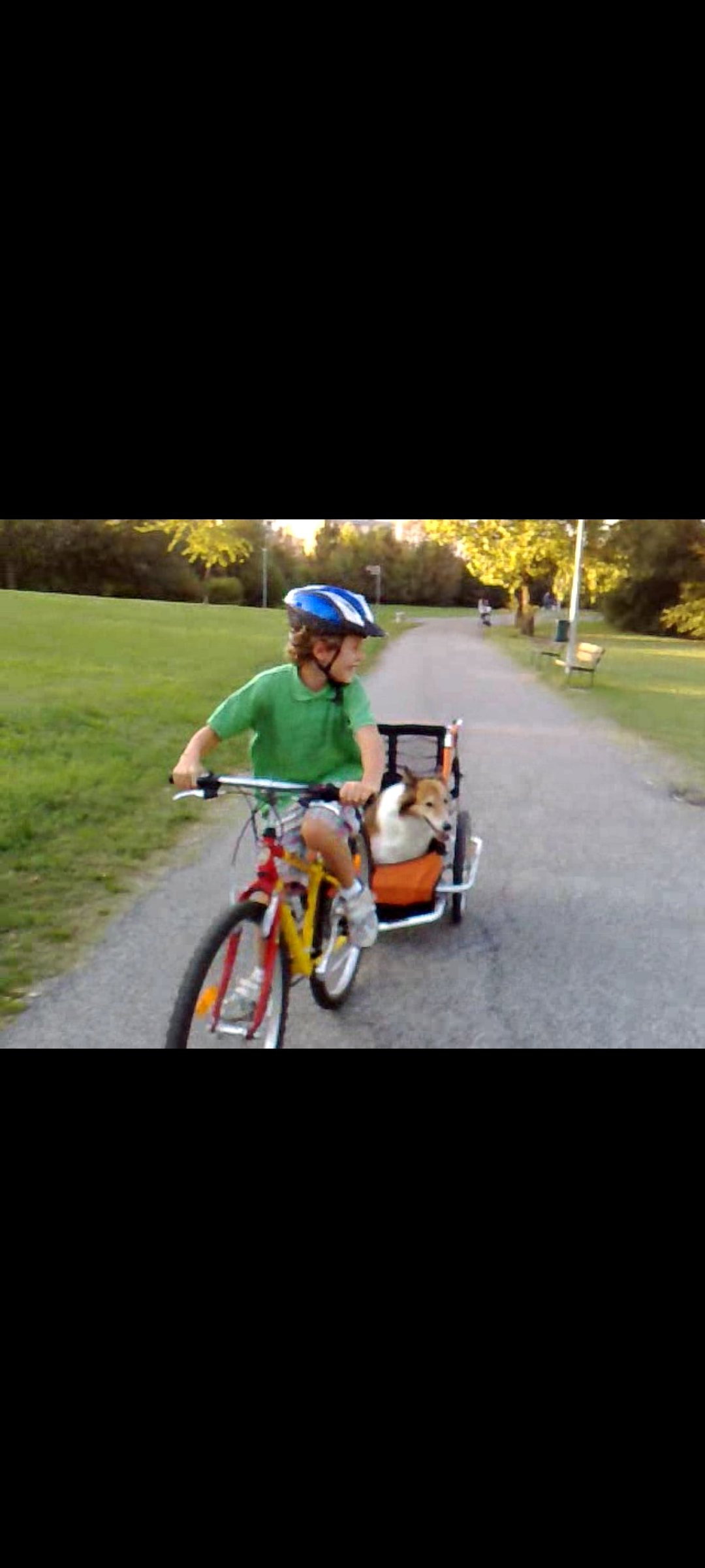 Francesco, pet sitter in München, photo 1
