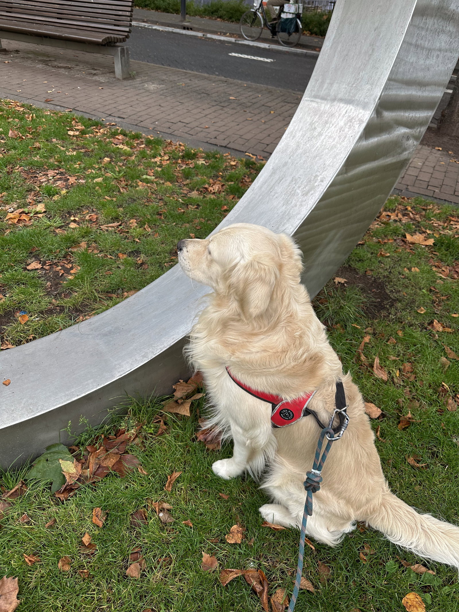 Agnes, pet sitter in Rotterdam, photo 3