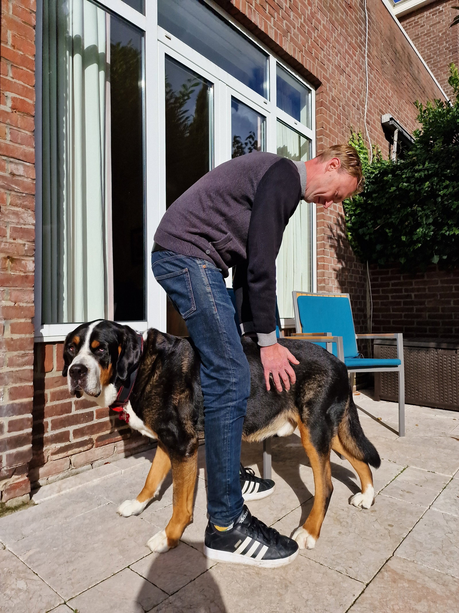 Michiel, pet sitter in 's-Gravenhage, photo 4