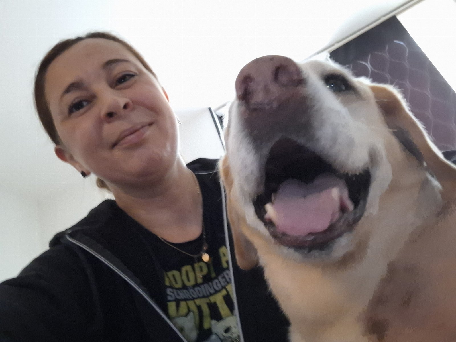 Diane-Marie, pet sitter in Capelle aan den IJssel, photo 1