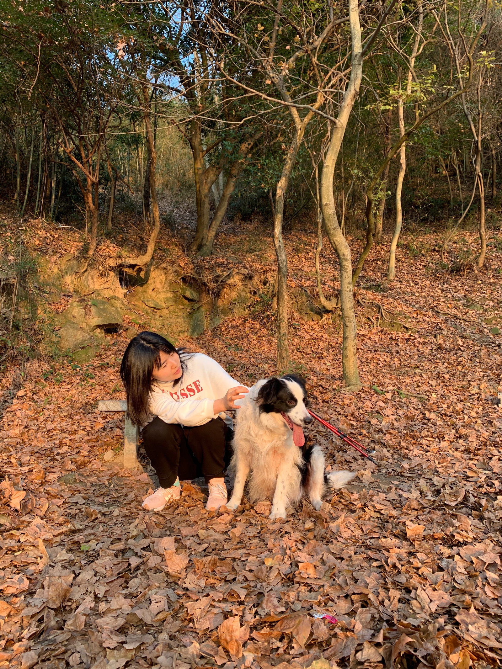 Ruolan, pet sitter in Tilburg, photo 3