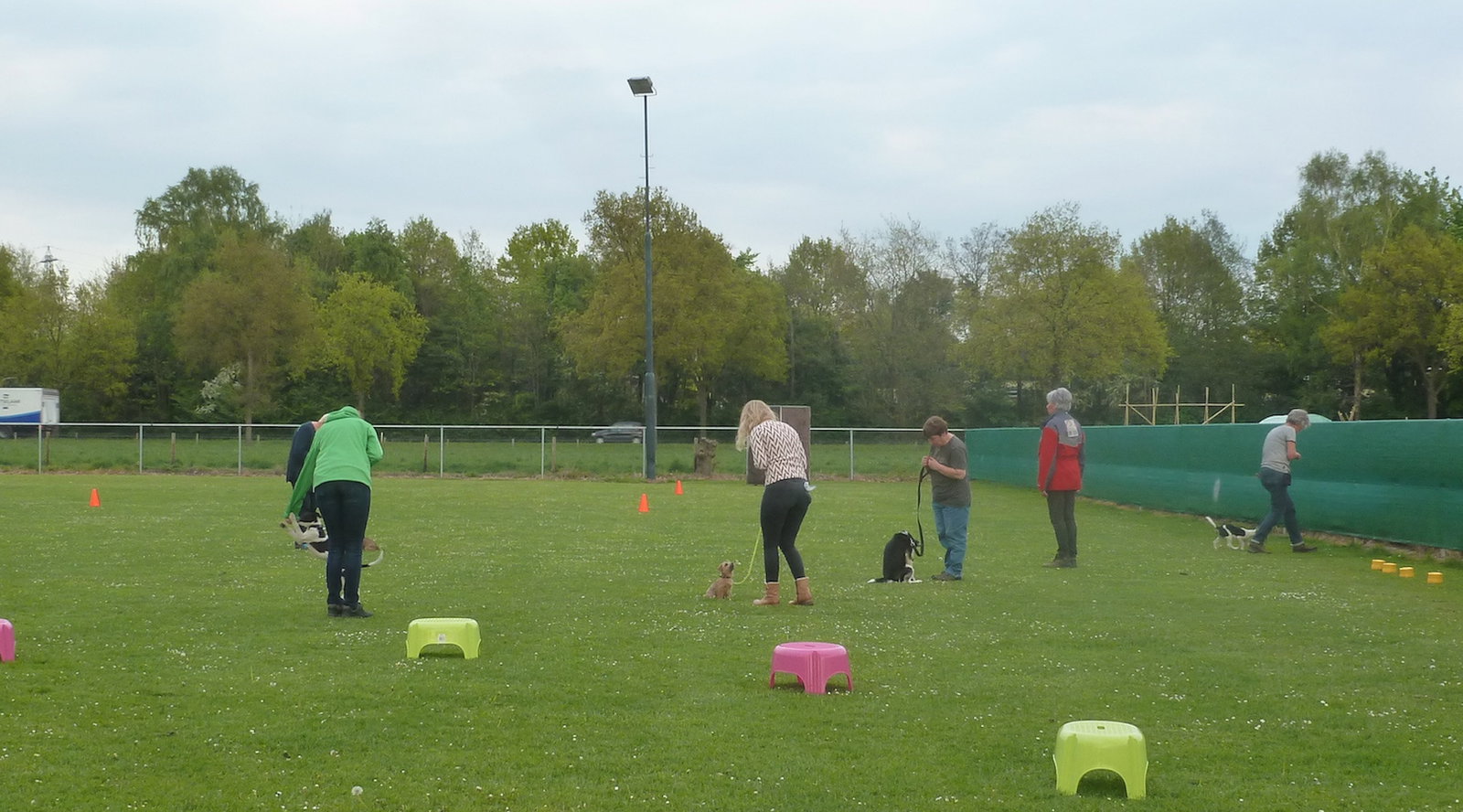 Joline, pet sitter in Deventer, photo 2