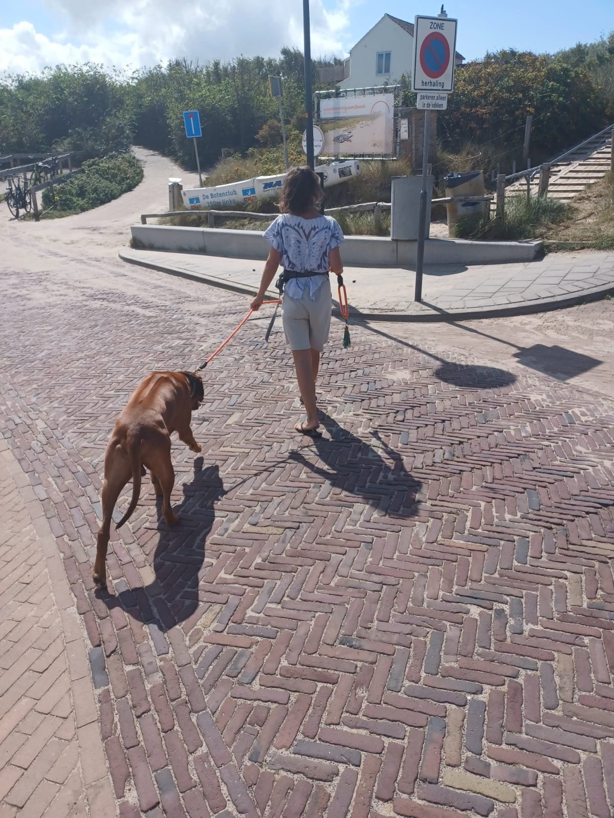 Daniela, pet sitter in Alkmaar, photo 2