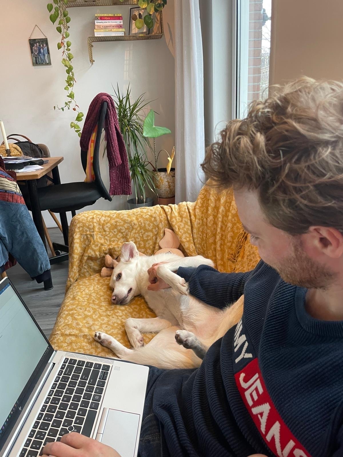 Marloes en Michiel, dierenoppas in Amsterdam, foto 3