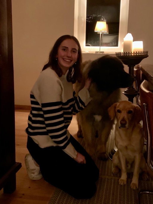 Sofie, pet sitter in Nijmegen, photo 1