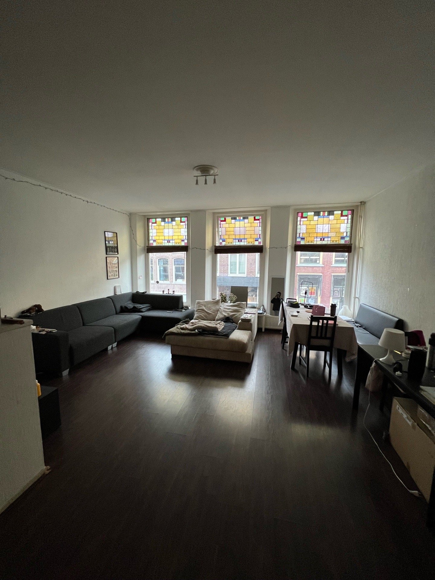 Antonio, dierenoppas in Den Haag, foto 3