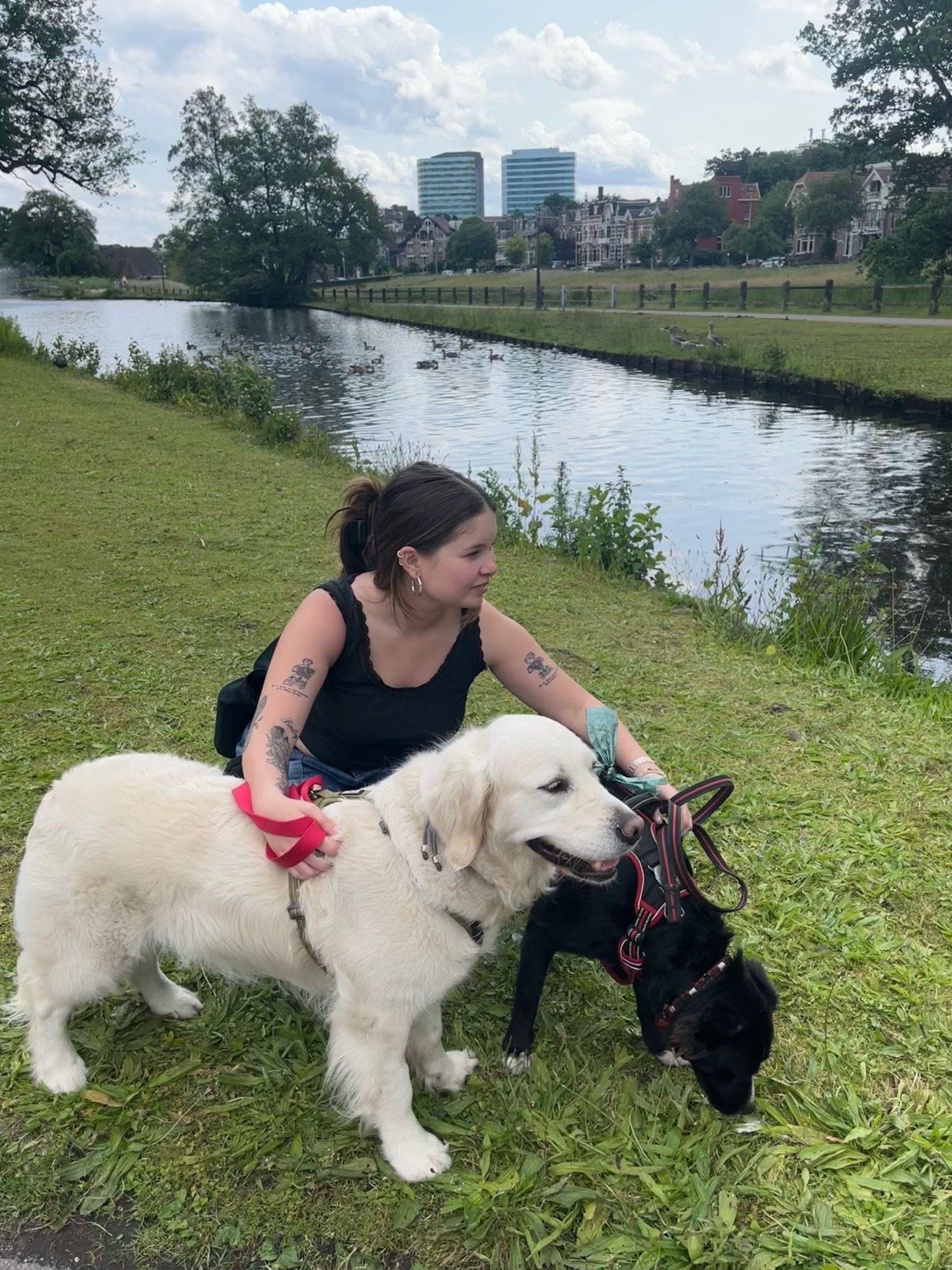 Dana, pet sitter in Arnhem, photo 5