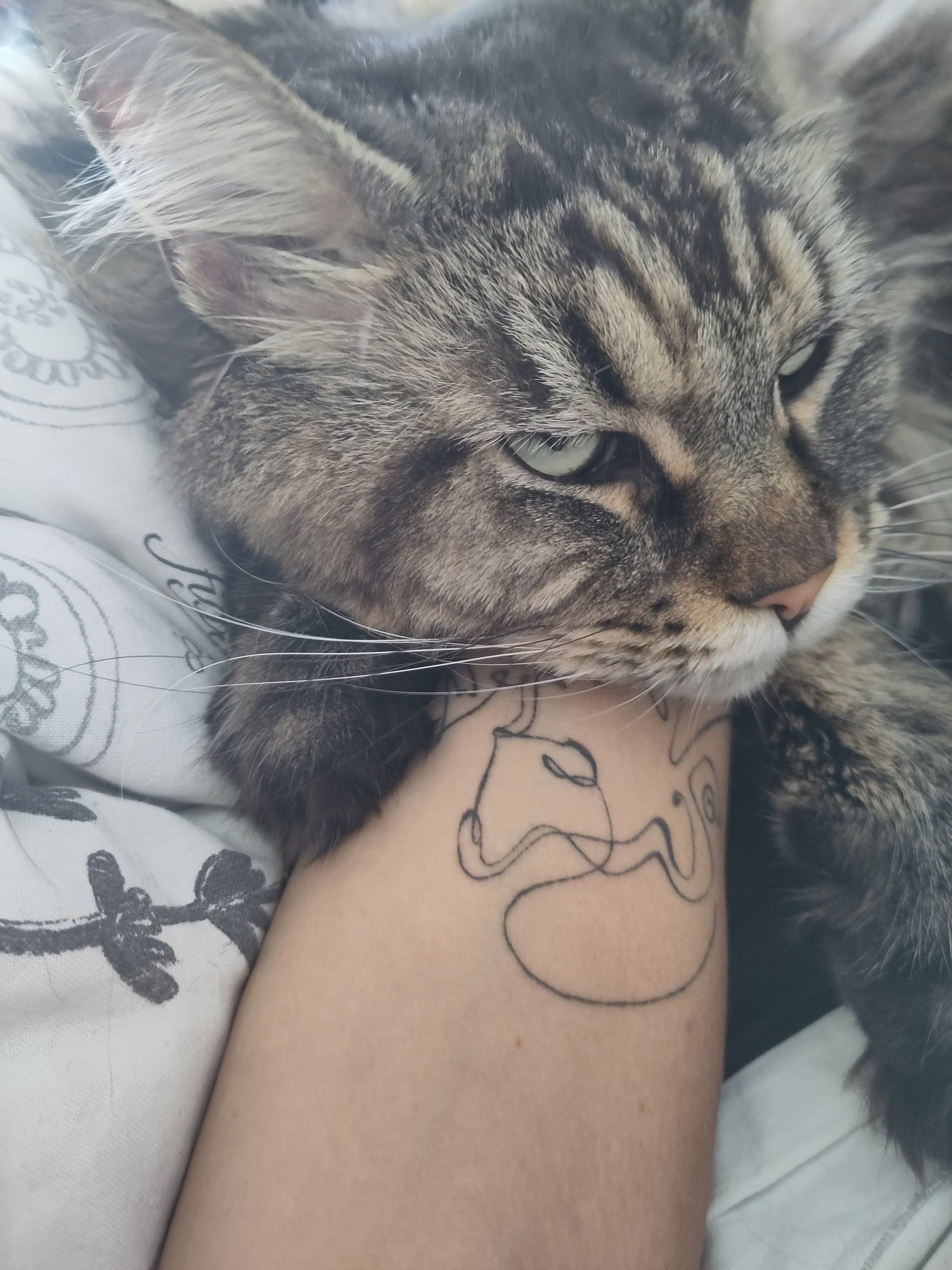 Lucie, pet sitter in München, photo 3