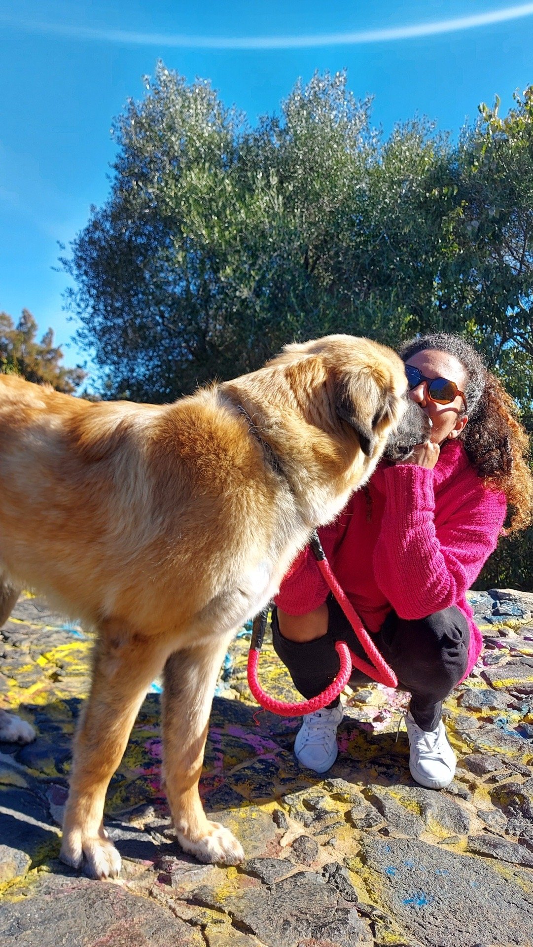 Daiane, pet sitter in Utrecht, photo 4