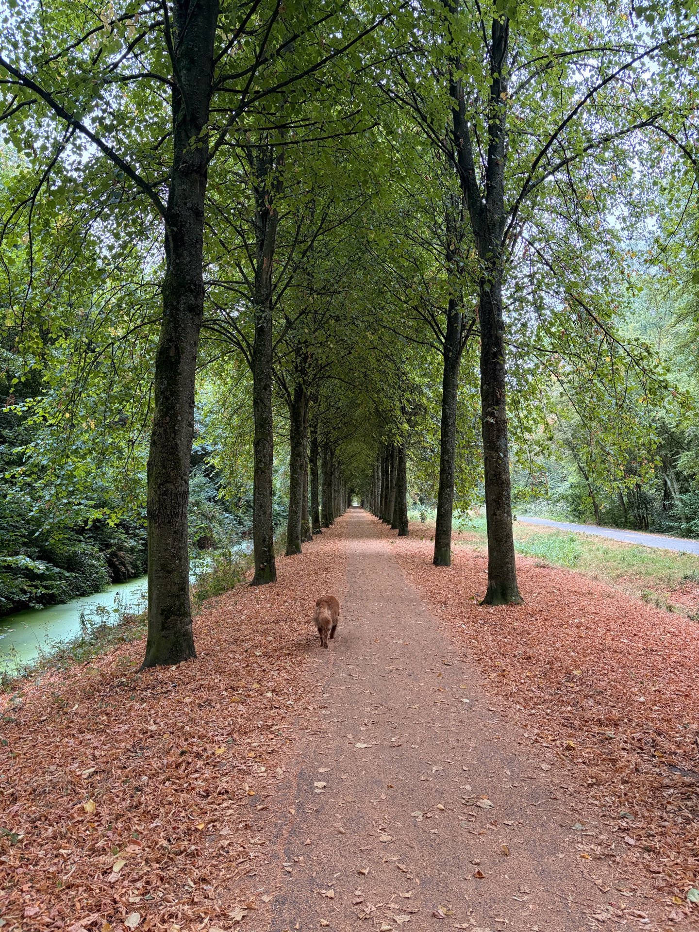 Saar, pet sitter in Den Haag, photo 4