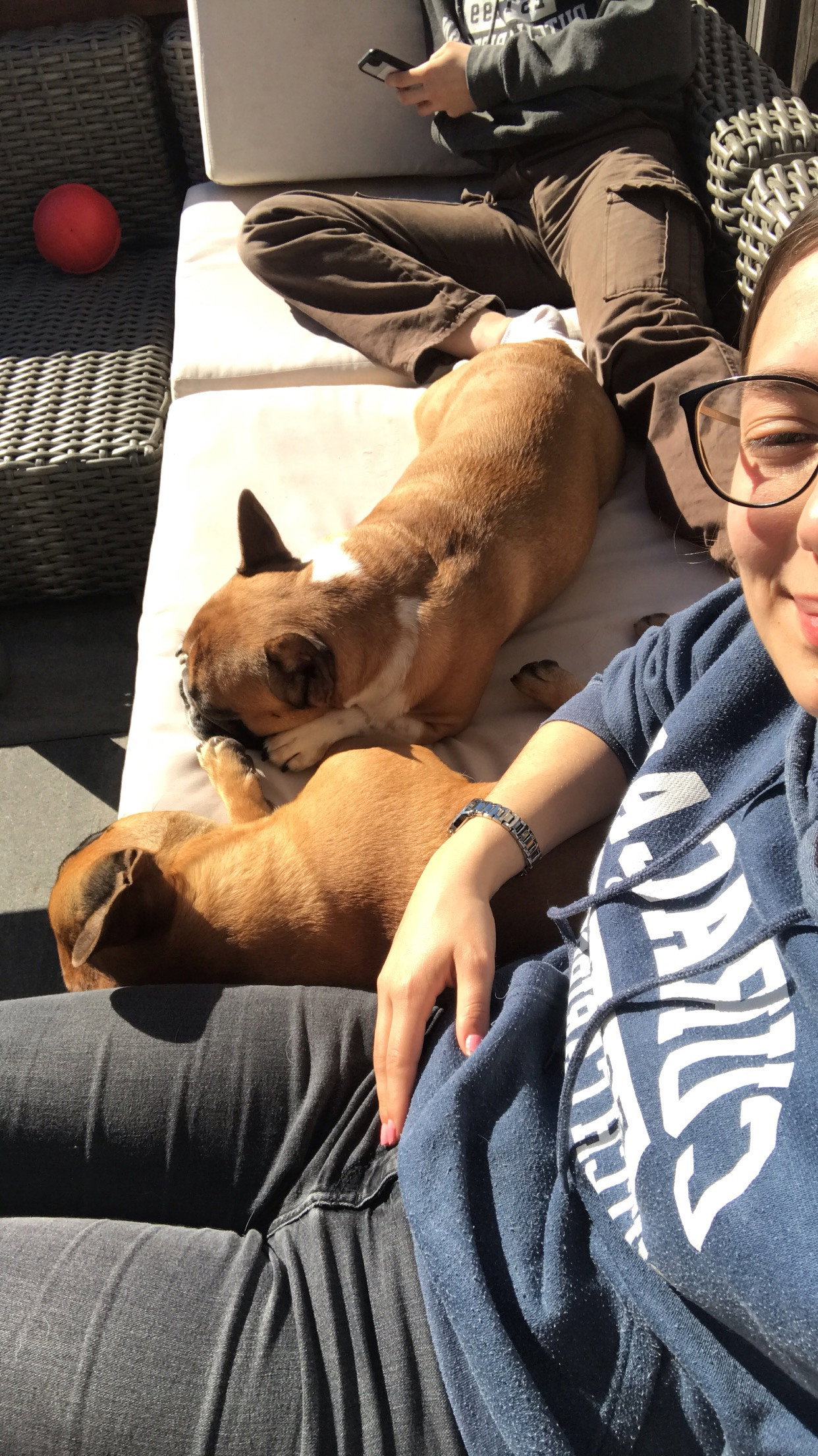 Amber-Nikki, pet sitter in Rijswijk, photo 1