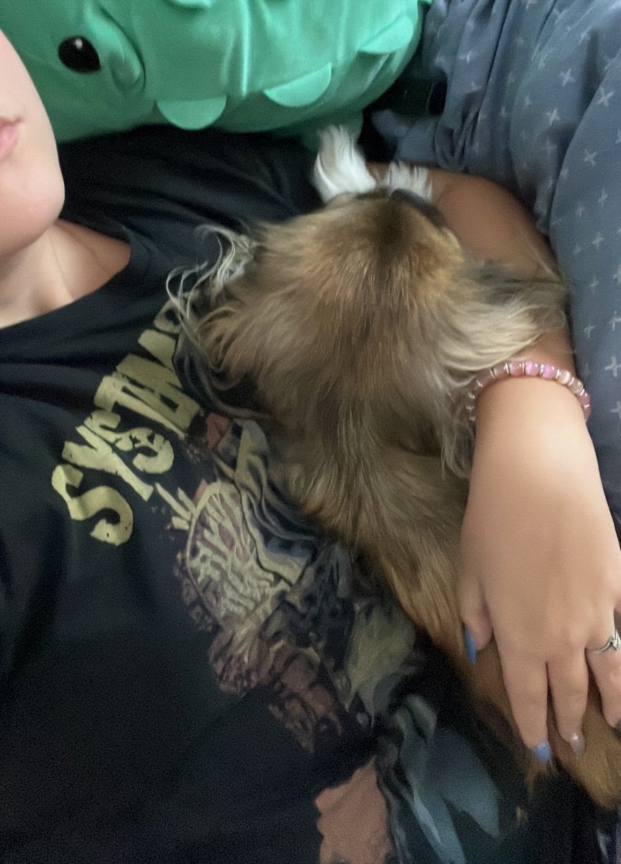 Daria, pet sitter in Pforzheim, photo 3