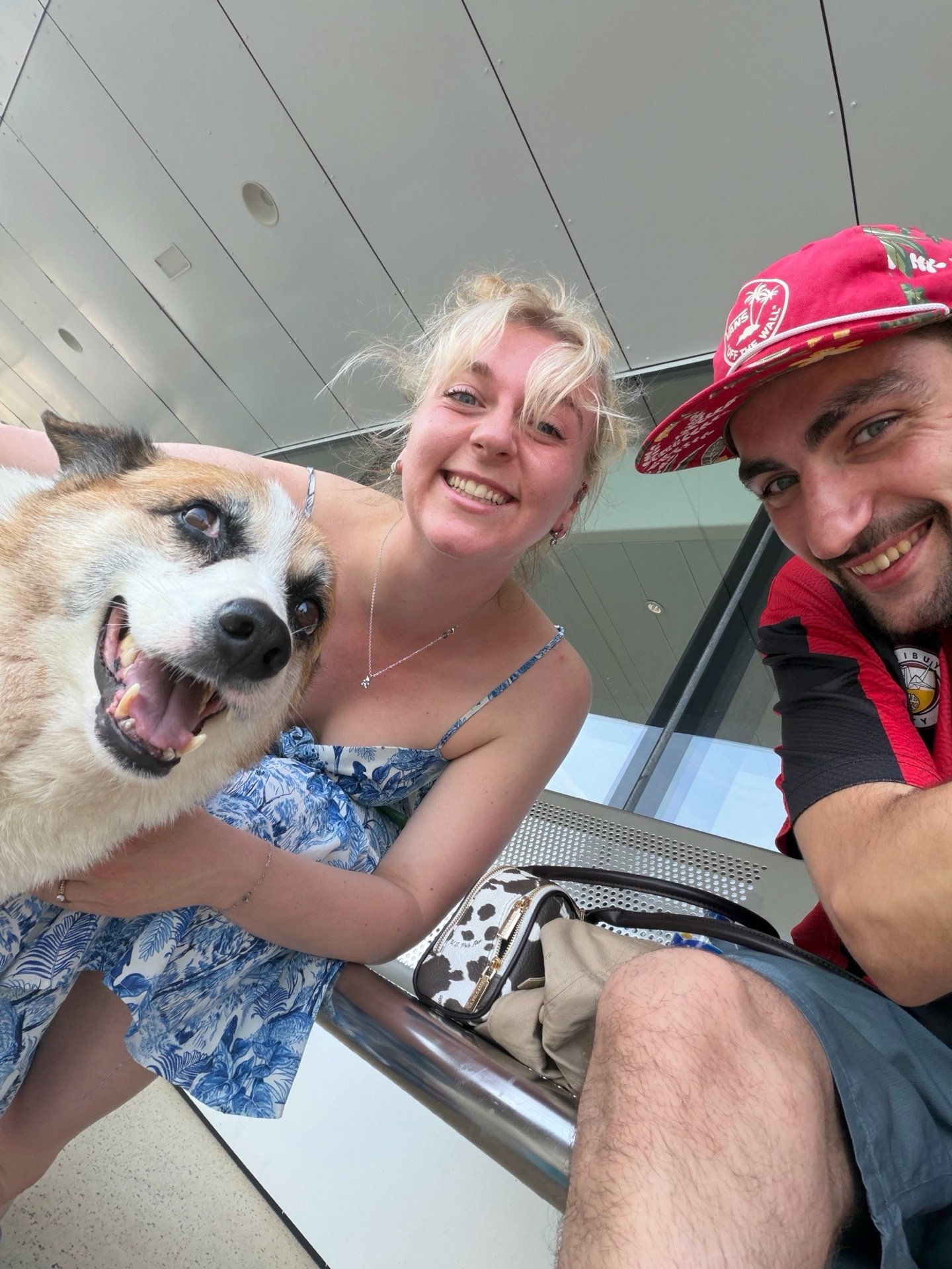 Karin, pet sitter in Amsterdam, photo 4