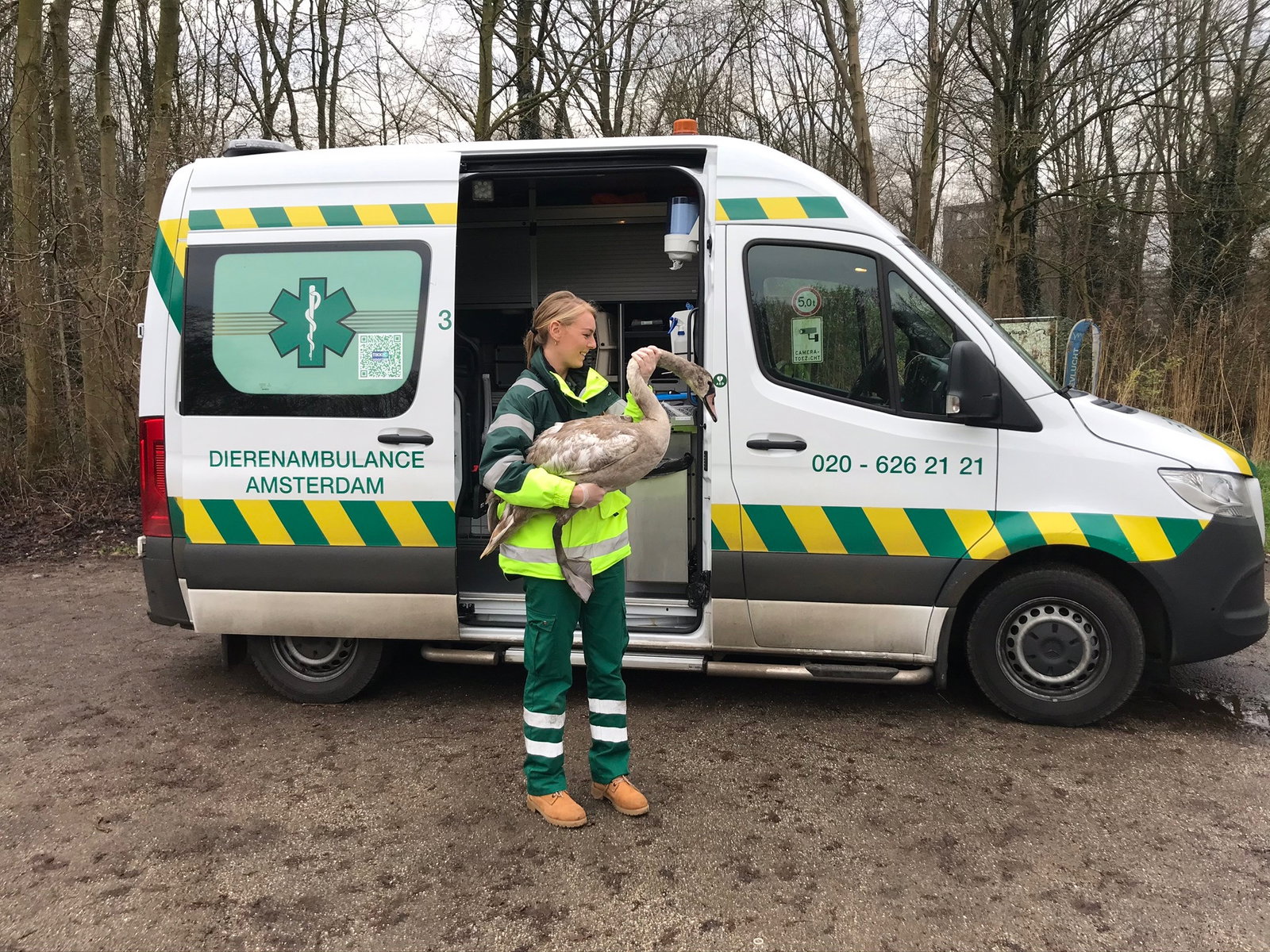 Celine, pet sitter in Assendelft, photo 3