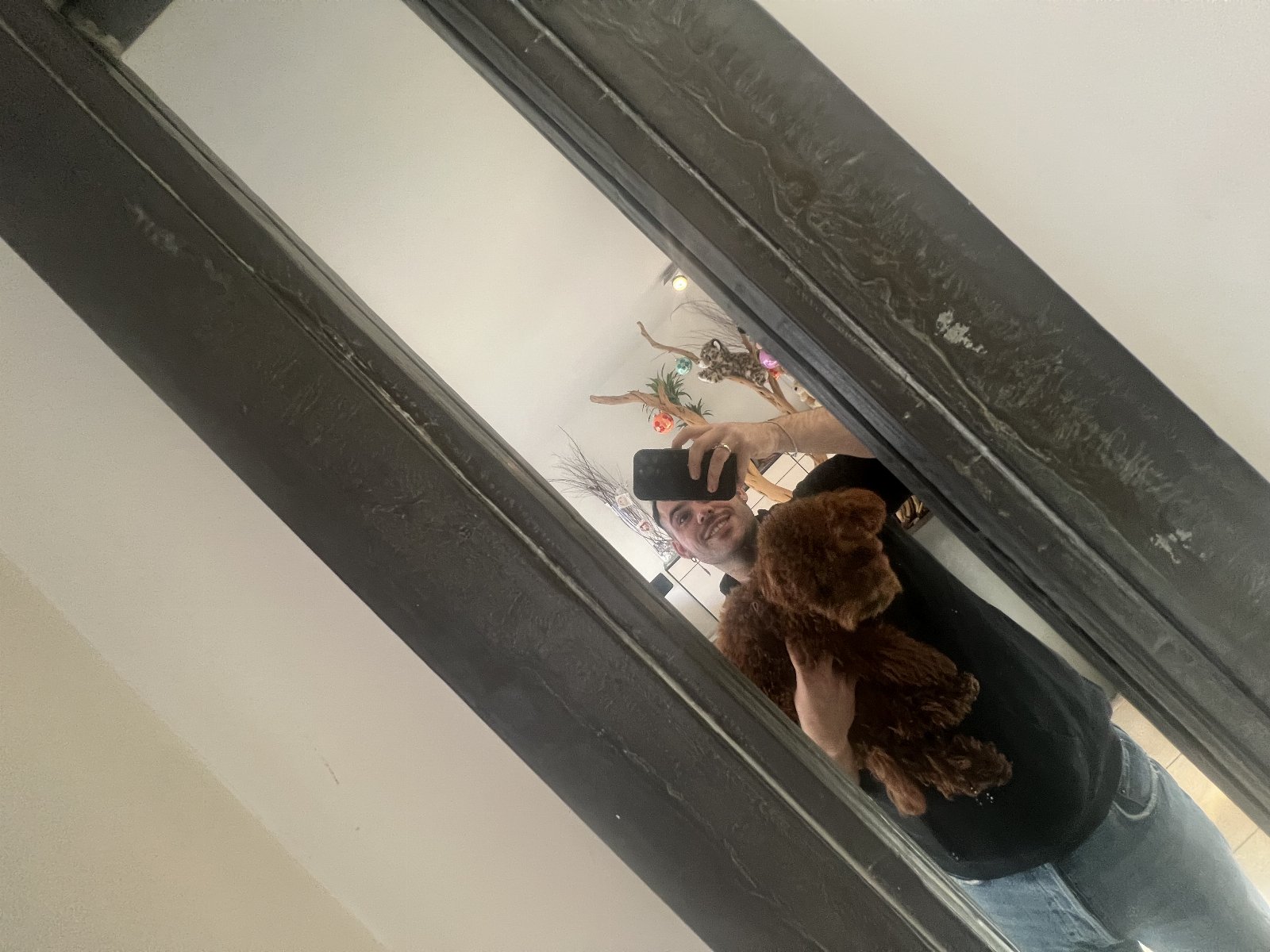 Kay, pet sitter in Zaandam, photo 3