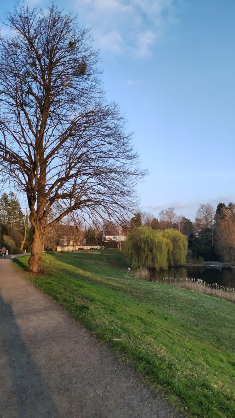 Rahel, Tiersitter in Berlin, Foto 3