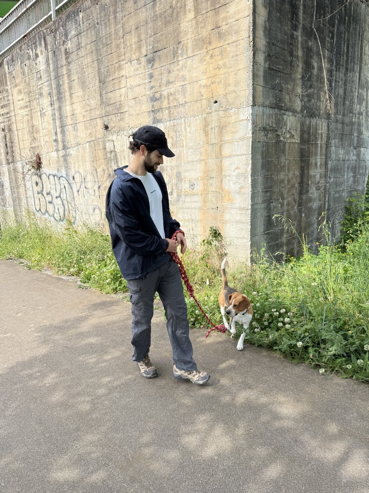 Miguel, pet sitter in Malden, photo 5