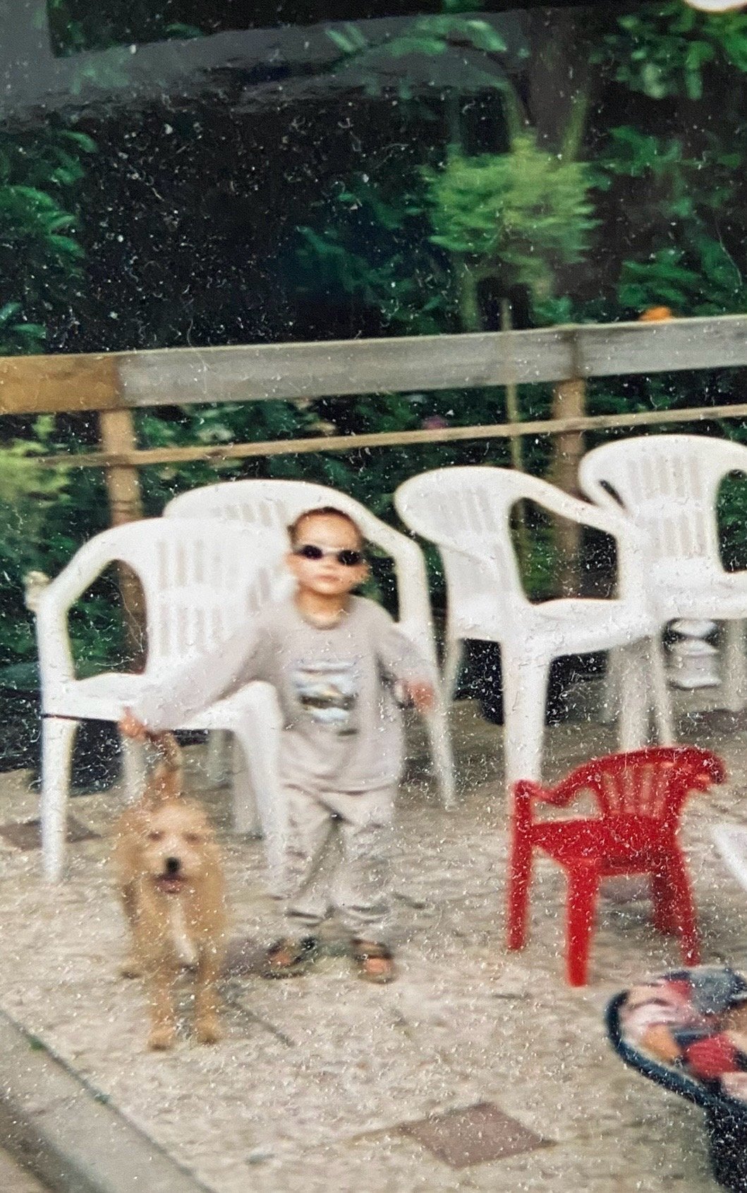 Marvin, dierenoppas in Woerden, foto 2