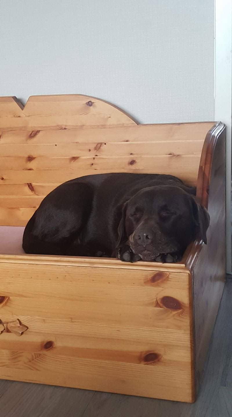 Michael en Angelique, pet sitter in Zoetermeer, photo 2