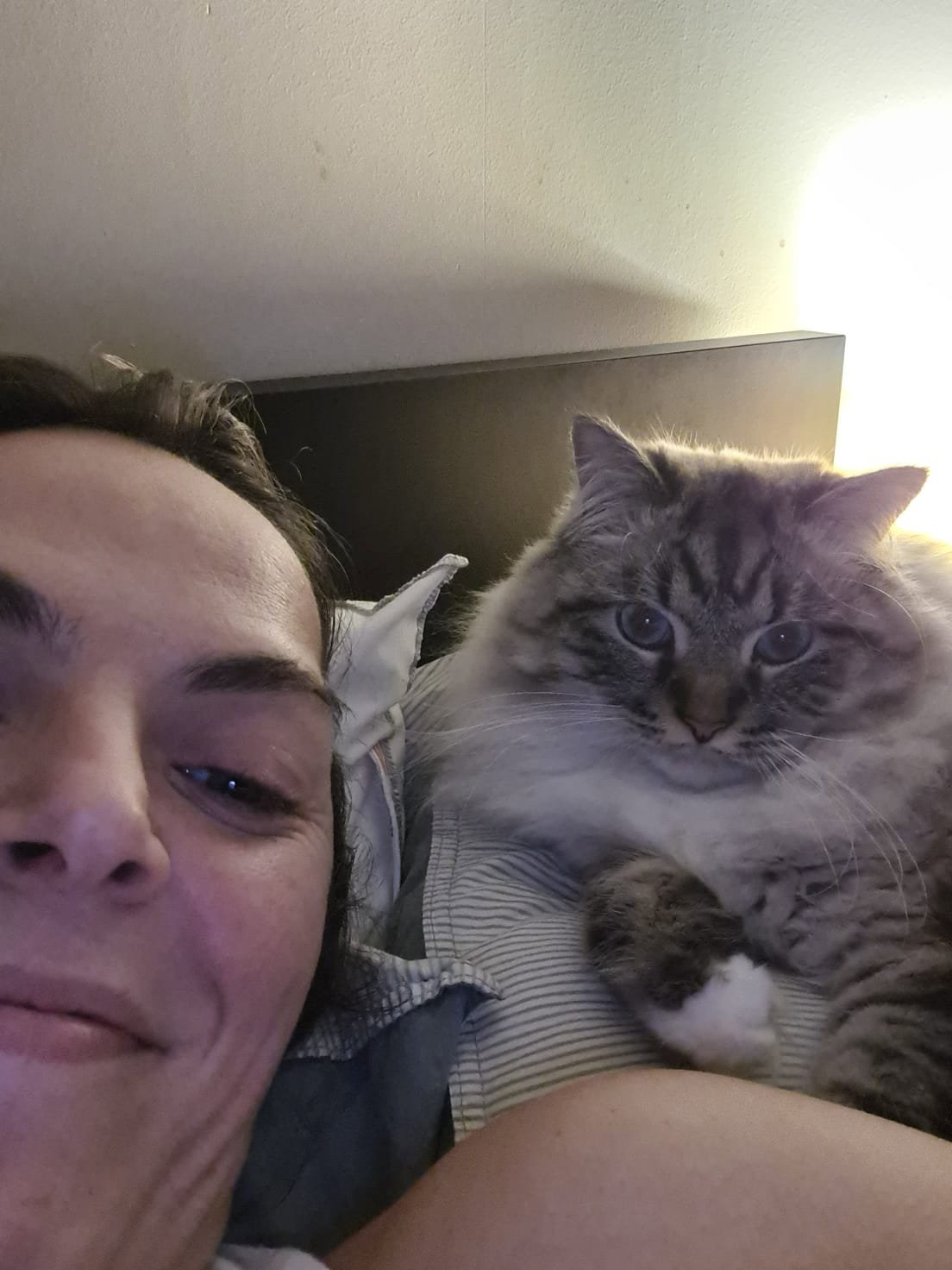 Camille, dierenoppas in Amsterdam, foto 3