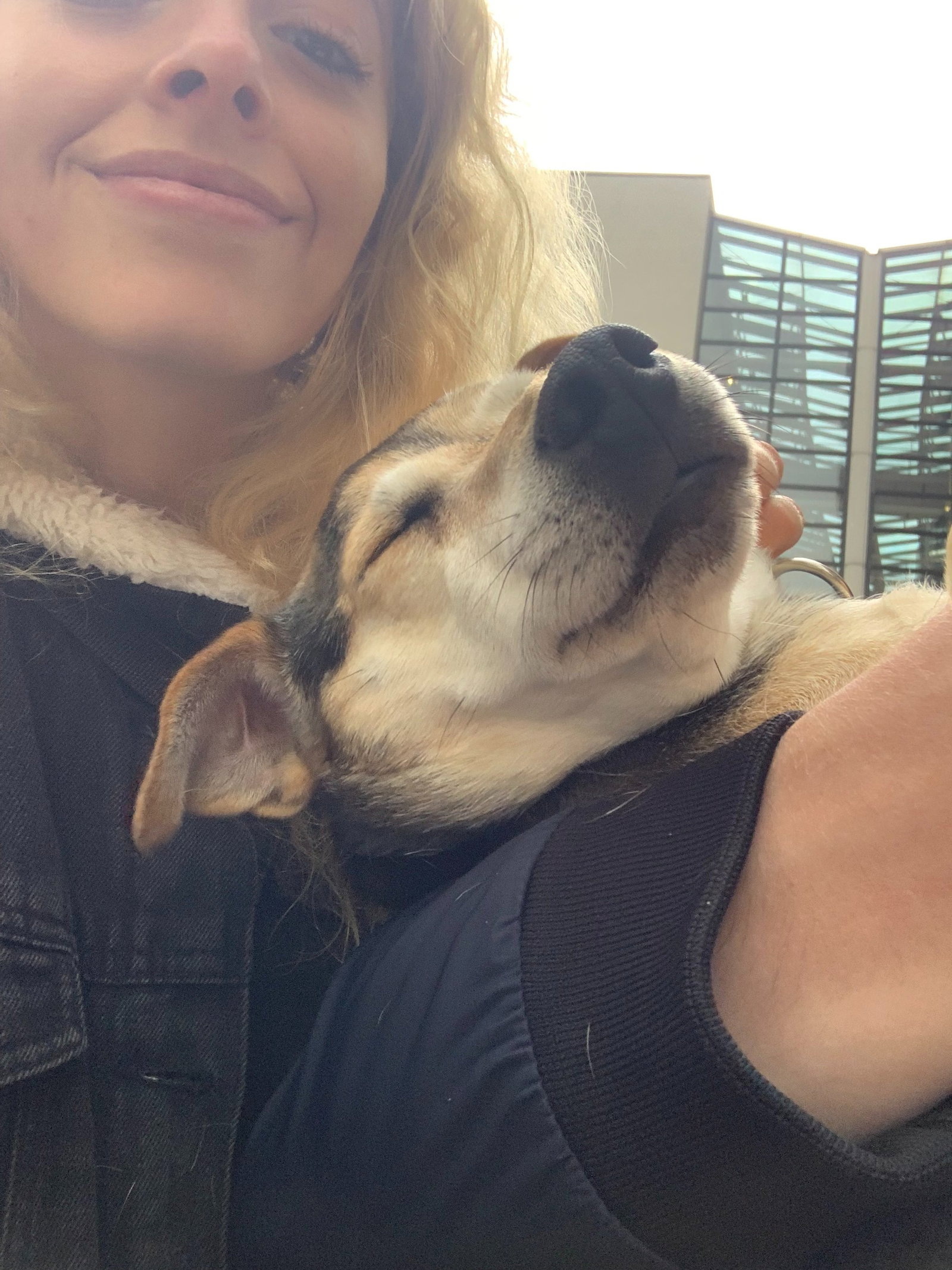 Nathalie, pet sitter in 's-Gravenhage, photo 2