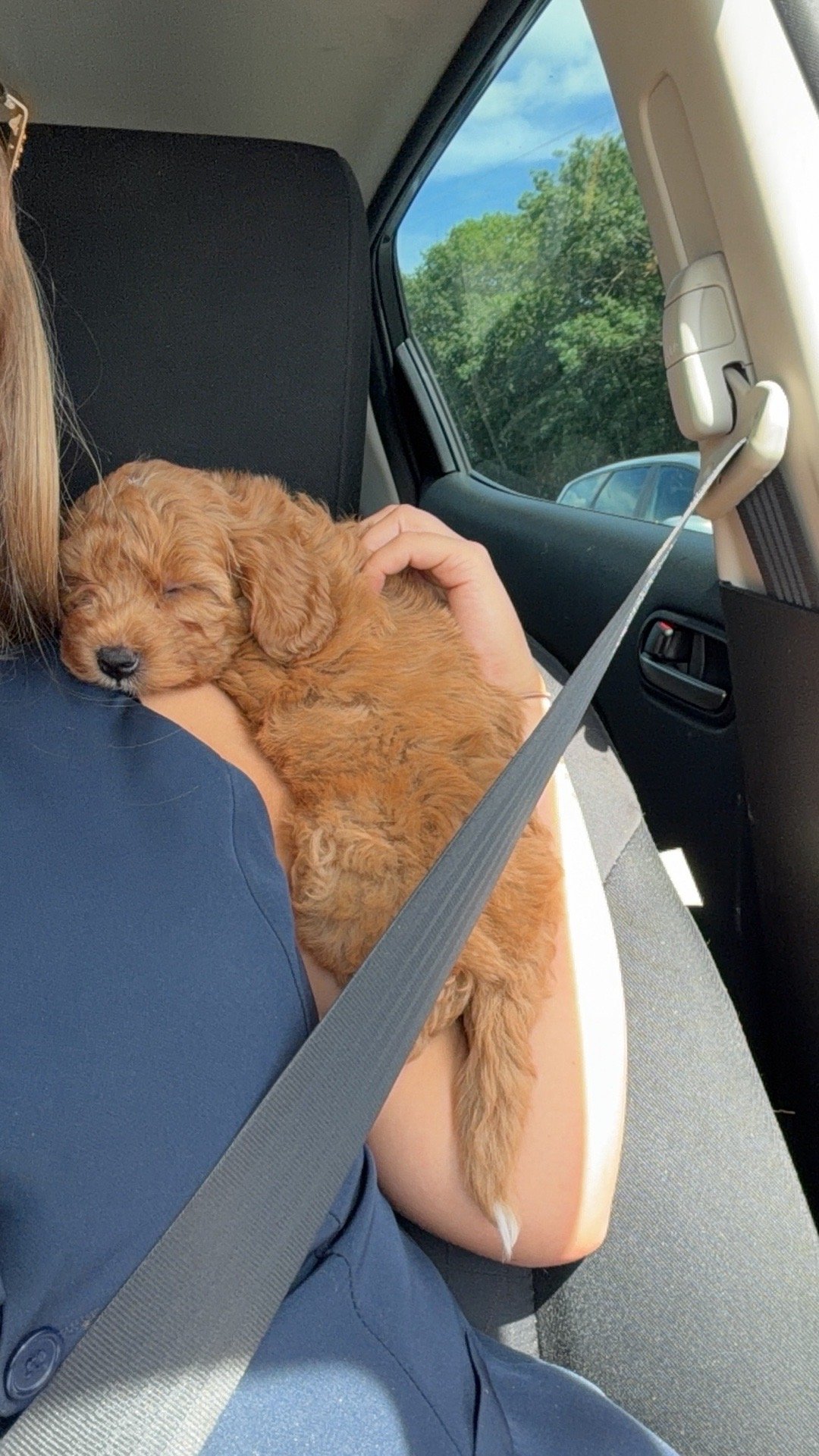 maud, pet sitter in Eindhoven, photo 4