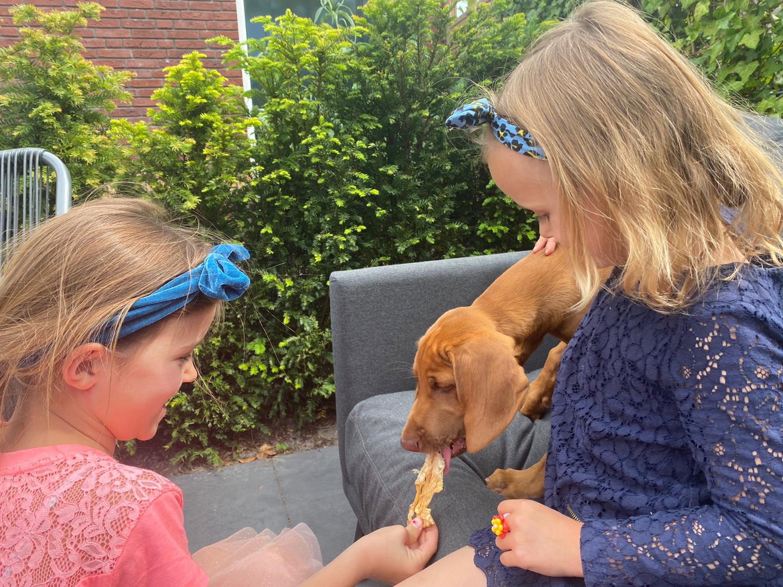 Corine, pet sitter in Den Haag, photo 3
