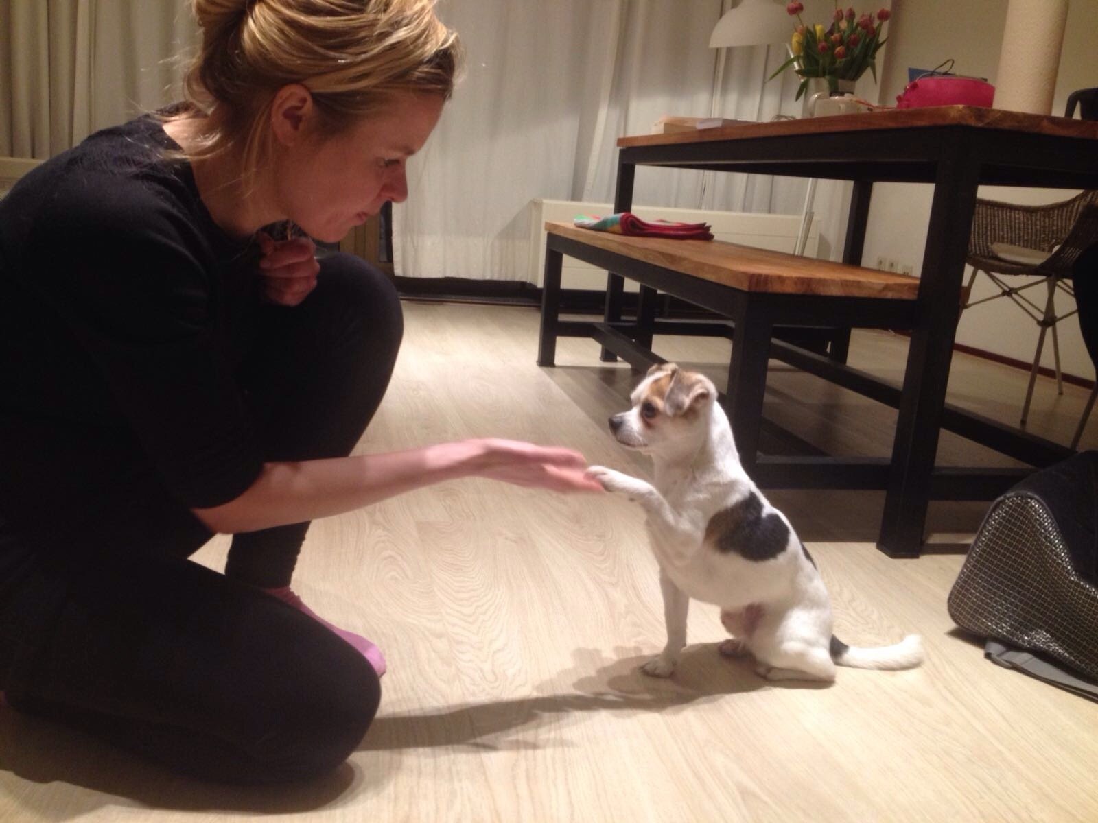 Maaike Dirkje, dierenoppas in Amsterdam, foto 1